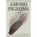 Among Pigeons