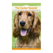 The Cocker Spaniel: A Vet's Guide on How to Care for your Cocker Spaniel Dog