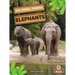 Elephants