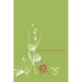 Taxonomy of Flowering Plants
