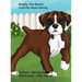 Buddy The Boxer and His New Family