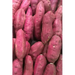 Sweet Potatoes: The Sweet Potato Is a Dicotyledonous Plant That Belongs to the Bindweed or Morning Glory Family, Convolvulaceae. Its L