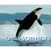 The Orca Scientists