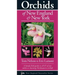 Orchids of New England & New York