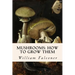Mushrooms: how to grow them