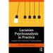 Lacanian Psychoanalysis in Practice: Insights from Fourteen Psychoanalysts