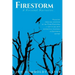 Firestorm: Vignettes From The Epicenter of the Tubbs Firestorm - One of the Most Destructive Wildfires in California History
