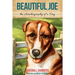 Beautiful Joe