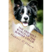 The Friendly World of the Border Collie: Inside the Minds of the Smartest Dogs in the World