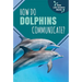 How Do Dolphins Communicate?