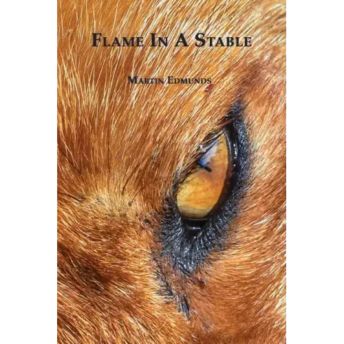 Flame in a Stable