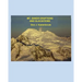 Mount Baker Eruptions and Glaciations