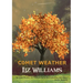 Comet Weather