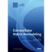 Extracellular Matrix Remodeling