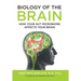 Biology of the Brain: How Your Gut Microbiome Affects Your Brain