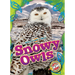 Snowy Owls