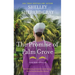 The Promise of Palm Grove: Amish Brides of Pinecraft, Book One