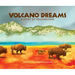 Volcano Dreams: A Story of Yellowstone