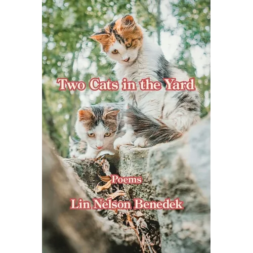 Two Cats in the Yard