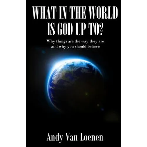 What in the World is God Up To?: Why things are the way they are and why you should believe