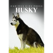 Husky - Curious Kids Press: Kids book about animals and wildlife, Children's books 4-6