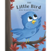 The Little Bird Who Wanted to Fly
