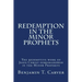 Redemption in the Minor Prophets: The redemptive work of Jesus Christ foreshadowed in the Minor Prophets