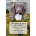 The Sprocker Spaniel: Everything you need to know from puppy to dog