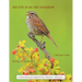 His Eye Is on the Sparrow: A Devotional Inspired by Nature: Volume 2