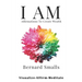 I AM Affirmations To Create Wealth: VAM! Visualize Affirm & Meditate