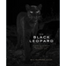 The Black Leopard: My Quest to Photograph One of Africa's Most Elusive Big Cats