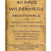 40 Days in the Wilderness Addiction Recovery Devotionals and Bible Studies