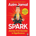 Spark: Journey from Success to Significance