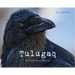 Tulugaq: An Oral History of Ravens