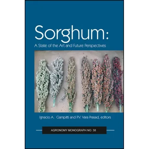 Sorghum: State of the Art and Future Perspectives