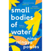 Small Bodies of Water