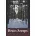 Brain Scraps