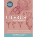 Uterus: A new perspective