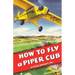 How To Fly a Piper Cub