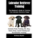 Labrador Retriever Training: The Beginner's Guide to Training Your Labrador Retriever Puppy: Includes Potty Training, Sit, Stay, Fetch, Drop, Leash Tr