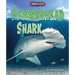 Hammerhead Shark