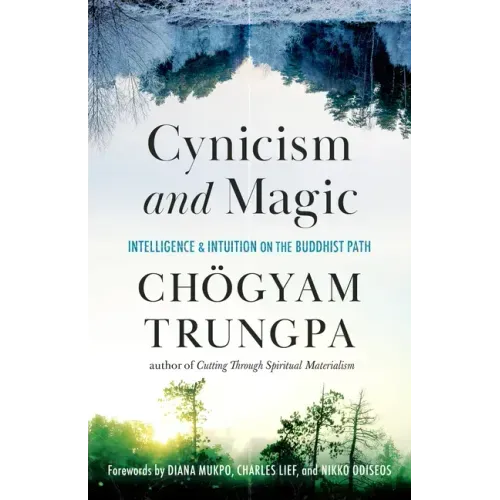 Cynicism and Magic: Intelligence and Intuition on the Buddhist Path