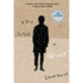 A Boy Is Not a Ghost
