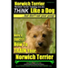 Norwich Terrier, Norwich Terrier Training AAA AKC Think Like a Dog But Don't Eat Your Poop!: Here's How To Train Your Norwich Terrier