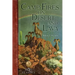 Camp-Fire on Desert and Lava