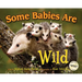 Some Babies Are Wild