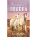 Beautifully Broken: From the Horizon Home Series