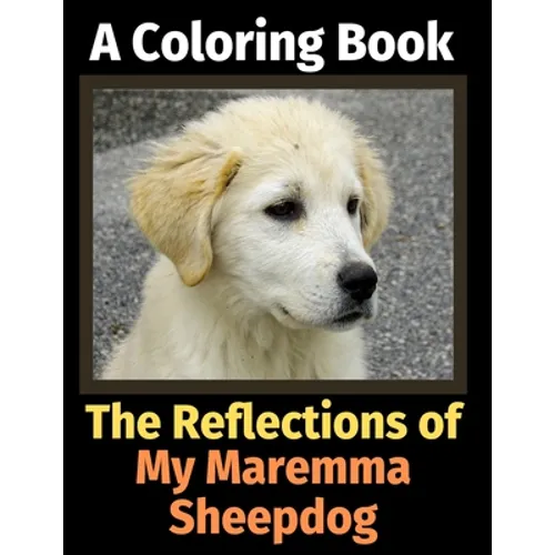 The Reflections of My Maremma Sheepdog: A Coloring Book - Paperback