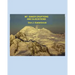 Mount Baker Eruptions and Glaciations