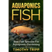 Aquaponics Fish: Best Fish Species For Aquaponic Gardening